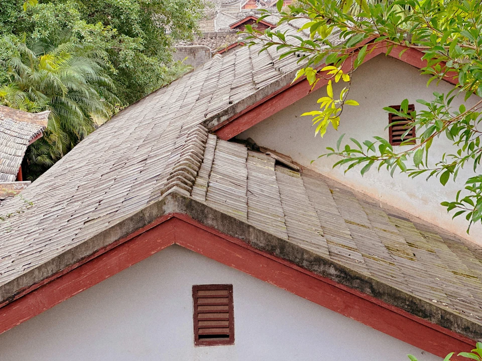 Close-up of asphalt shingles showing curling edges and granule loss indicating wear and tear